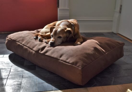 Bean Products organic hemp dog bed, no formaldehyde or chemical flame retardants