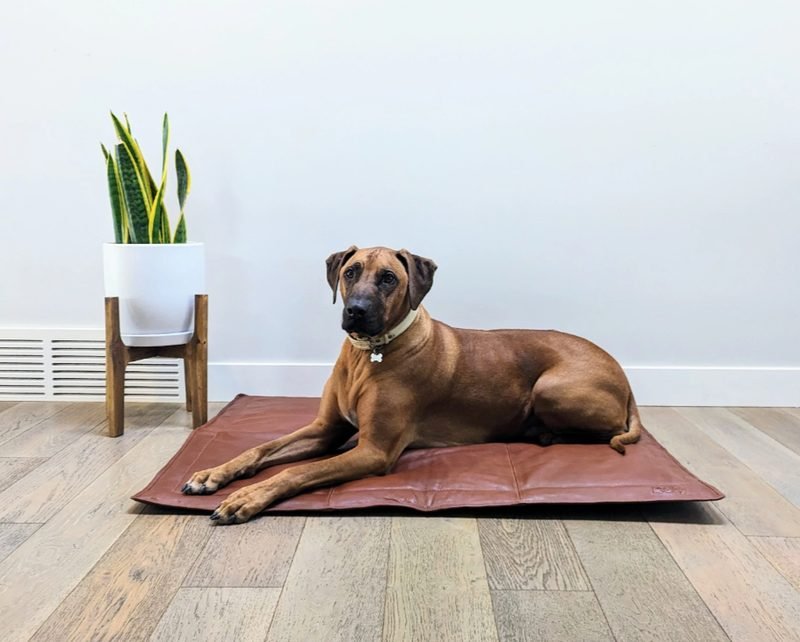 Le Dog Company Le Mat, portable foldable genuine leather dog mat