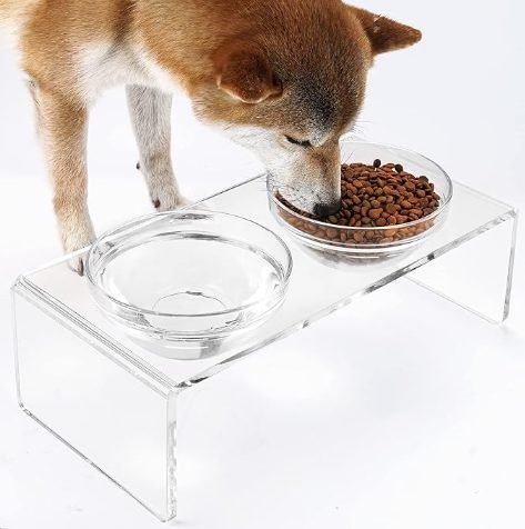 LIONWEI elevated pet feeder with two glass bowls and two stainless steel bowls, non-toxic and easy to clean
