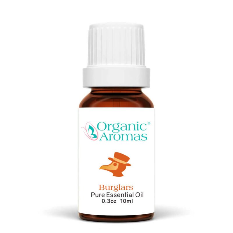 Organic Aromas Burglars Blend essential oil, clove lemon cinnamon eucalyptus rosemary, immune support and air purifying