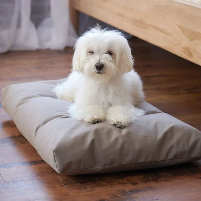 Naturepedic Organic Pet Bed with waterproof washable cover, GOTS certified, no flame retardants