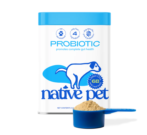 Native Pet Daily Probiotic Powder for dogs, 4-ingredient gut health and immunity blend